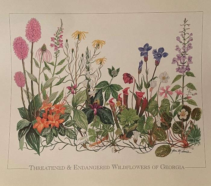 Threatened & Endangered Wildflowers of Georgia  Print by Geri Davis