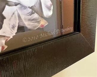 Michael D Isenberg Argentine Giant #6 Digital Framed Print Cactus Flower Frame: 18.75 x 24.75in