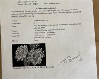 Michael D Isenberg Argentine Giant #6 Digital Framed Print Cactus Flower Frame: 18.75 x 24.75in