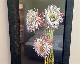 Michael D Isenberg Argentine Giant #1 Digital Framed Print Cactus Flower Frame: 18.75 x 24.75in