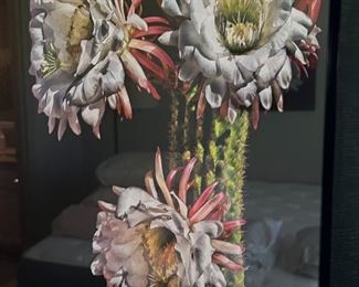 Michael D Isenberg Argentine Giant #1 Digital Framed Print Cactus Flower Frame: 18.75 x 24.75in