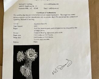 Michael D Isenberg Argentine Giant #1 Digital Framed Print Cactus Flower Frame: 18.75 x 24.75in