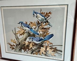 “Blue Jay” by Roger Tory Peterson 
Limited Edition Signed & Numbered 