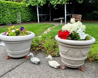 Various Pots with Flowers