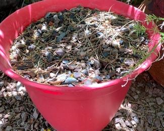 Pots, Pots and more pots