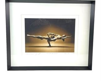 Lot 027
Michel Pilon 'Vis Versa Denouement' Giclee Print