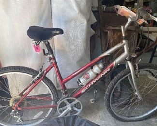 Schwinn Bicycle