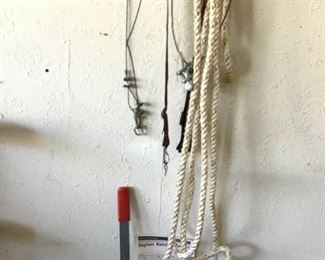 Daytona Ratchet Puller and 3 More Straps