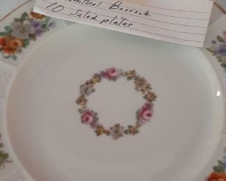 Rosenthal salad/ luncheon plates (10 plates)