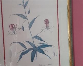 Framed prints