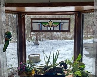 Family Room 
Plants, Stained glass window
