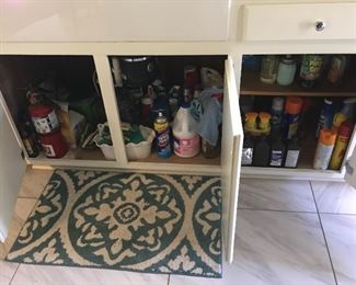 Beat inflation! There is no shame in buying and using slightly used household supplies! 