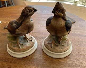 Ruffled Grouse by Andrea 