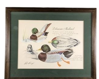 
Bob Berry Delaware Mallard Duck Framed Print