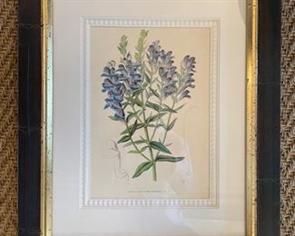 Framed botanical print - 2 available. Each measures 15" x 18". Photo 1 of 2.