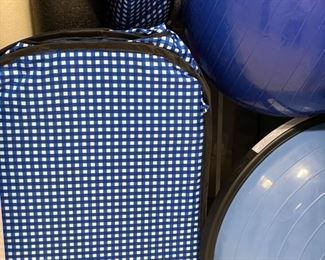 Scout storage bins and Bosu balls.