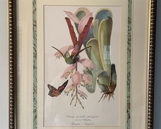 Framed bird etchings - 4 available. Each measures 20" x 25." Photo 1 of 4.