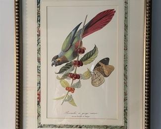 Framed bird etchings - 4 available. Each measures 20" x 25." Photo 2 of 4.