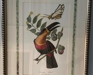 Framed bird etchings - 4 available. Each measures 20" x 25." Photo 3 of 4.