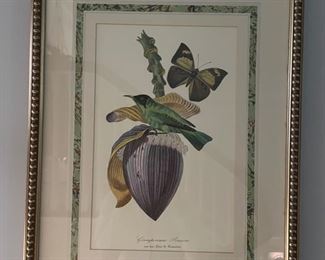 Framed bird etchings - 4 available. Each measures 20" x 25." Photo 4 of 4.