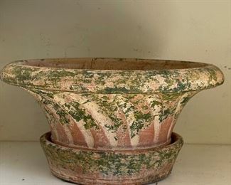 Terracota planter.