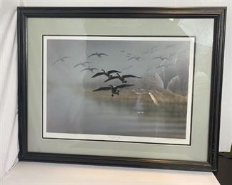 Out of the Fog by Richard Clifton