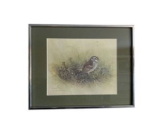 Lot 008
Martin Glen Loates Field Study Manitoulin Island White Throated Sparrow