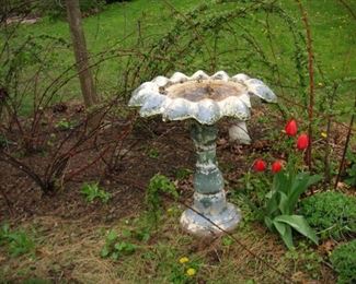birdbath