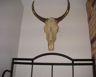 skullhorns