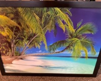 Palm Tree Hologram Picture