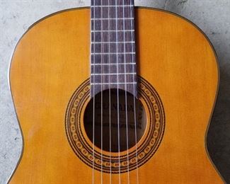 Acoustic Guitar 