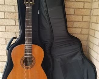 Guitar with Case 