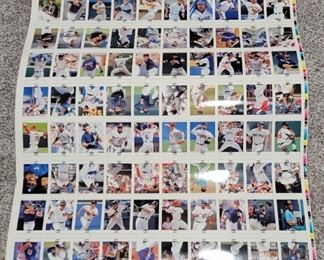 Uncut Baseball Sheet