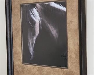 Several wall hanging horse pictures