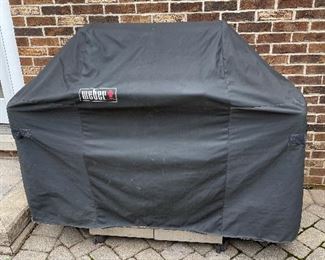 Weber Grill