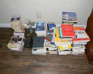 lots of books / lots of - vintage Bobbsey Twins books
