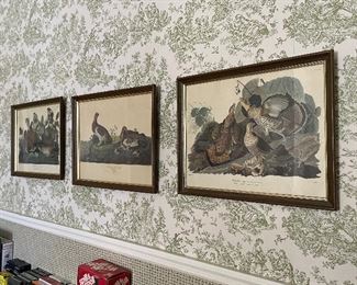 Set of three Audubon prints