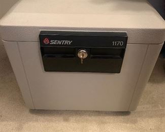 Sentry 1170 Safe