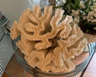 Coral Decor