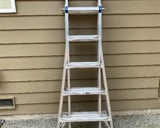 Werner Ladder