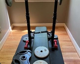 Sandinrayli weight bench and weights