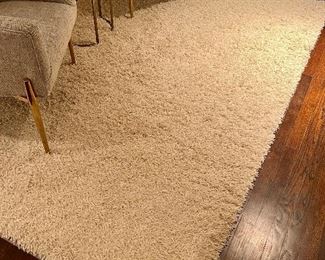 Stark "Shag" Carpet - 62" x 98"  