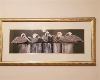 Large Pelican Picture