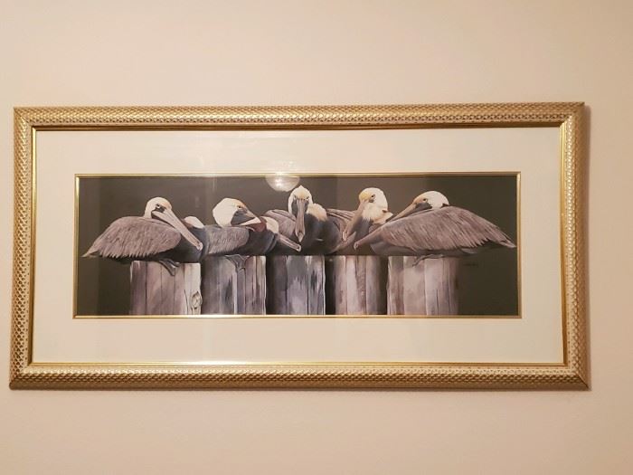 Large Pelican Picture
