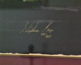 Stephen Kaye Large Flora Painting Framed 36X44