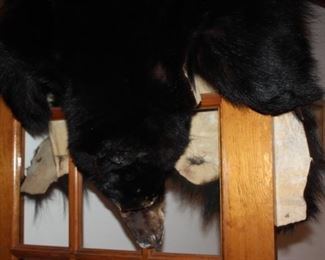 BEAR SKIN RUG