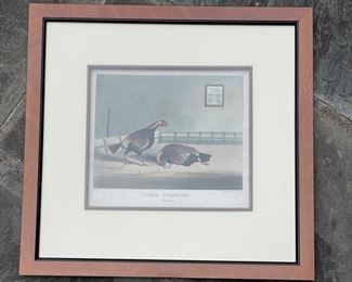 Set of 4 19th Century Hand-Colored Cock Fight Lithographs Published by R. Ackermann. Photo 5 of 5.
