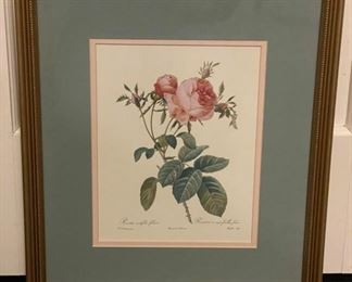 Pair of vintage botanical Rose etchings. Each measures 13" x 16". Photo 2 of 2.