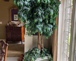 Several artificial and real plants and trees