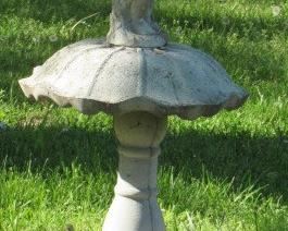 Concrete Bird Bath